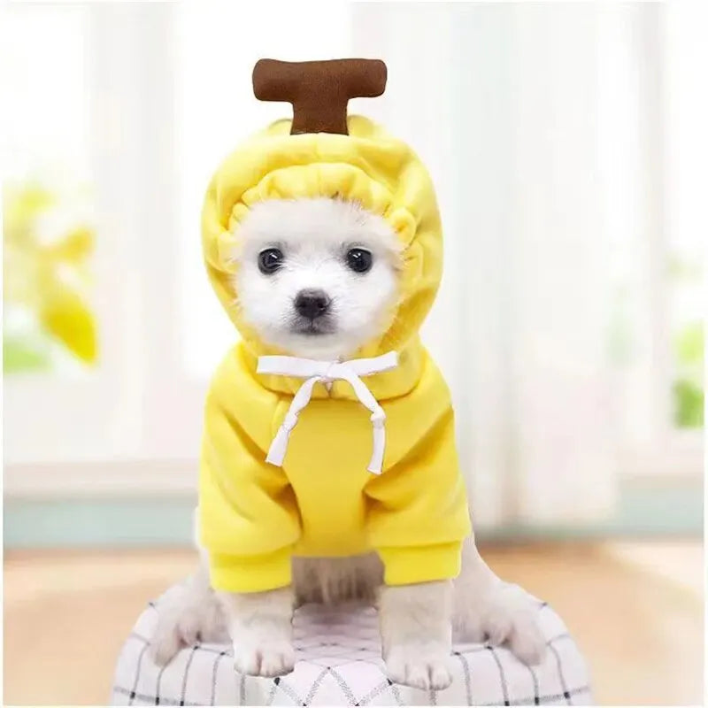 Cute Dog Hoodie Pet Fruit Cloth