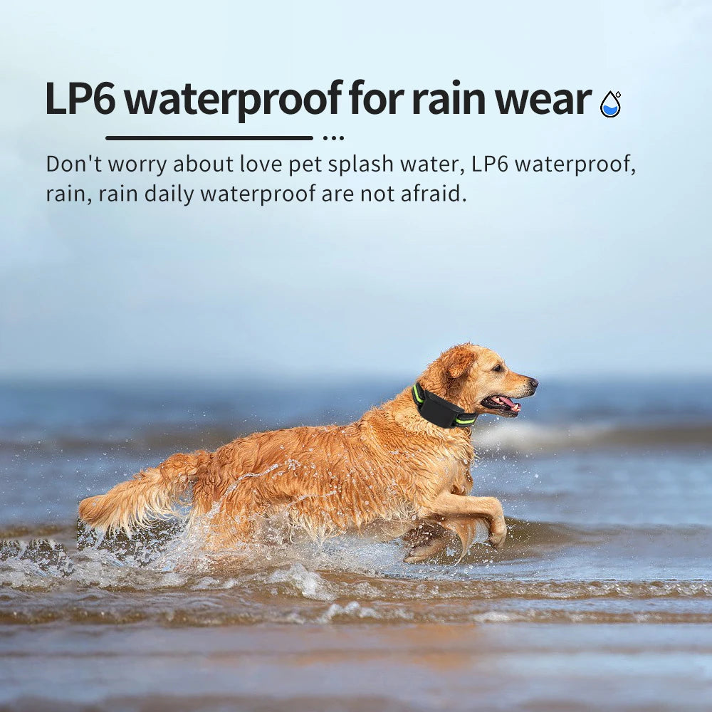 USB Rechargeable Auto Anti-Bark Collar