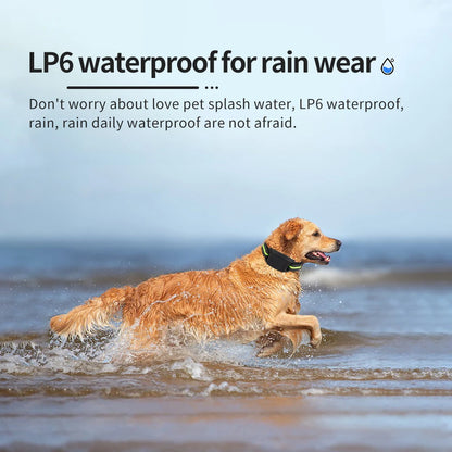 USB Rechargeable Auto Anti-Bark Collar