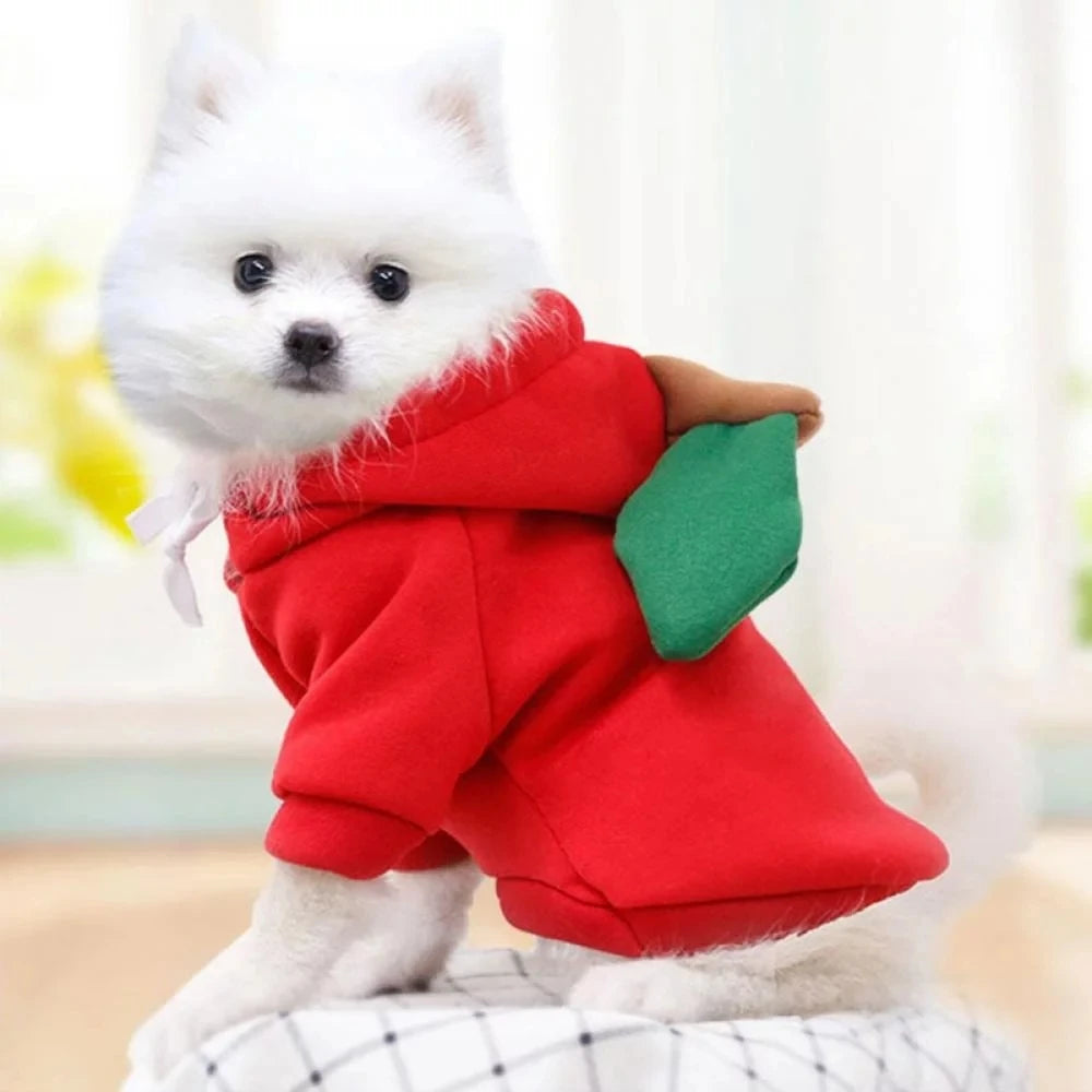 Cute Dog Hoodie Pet Fruit Cloth