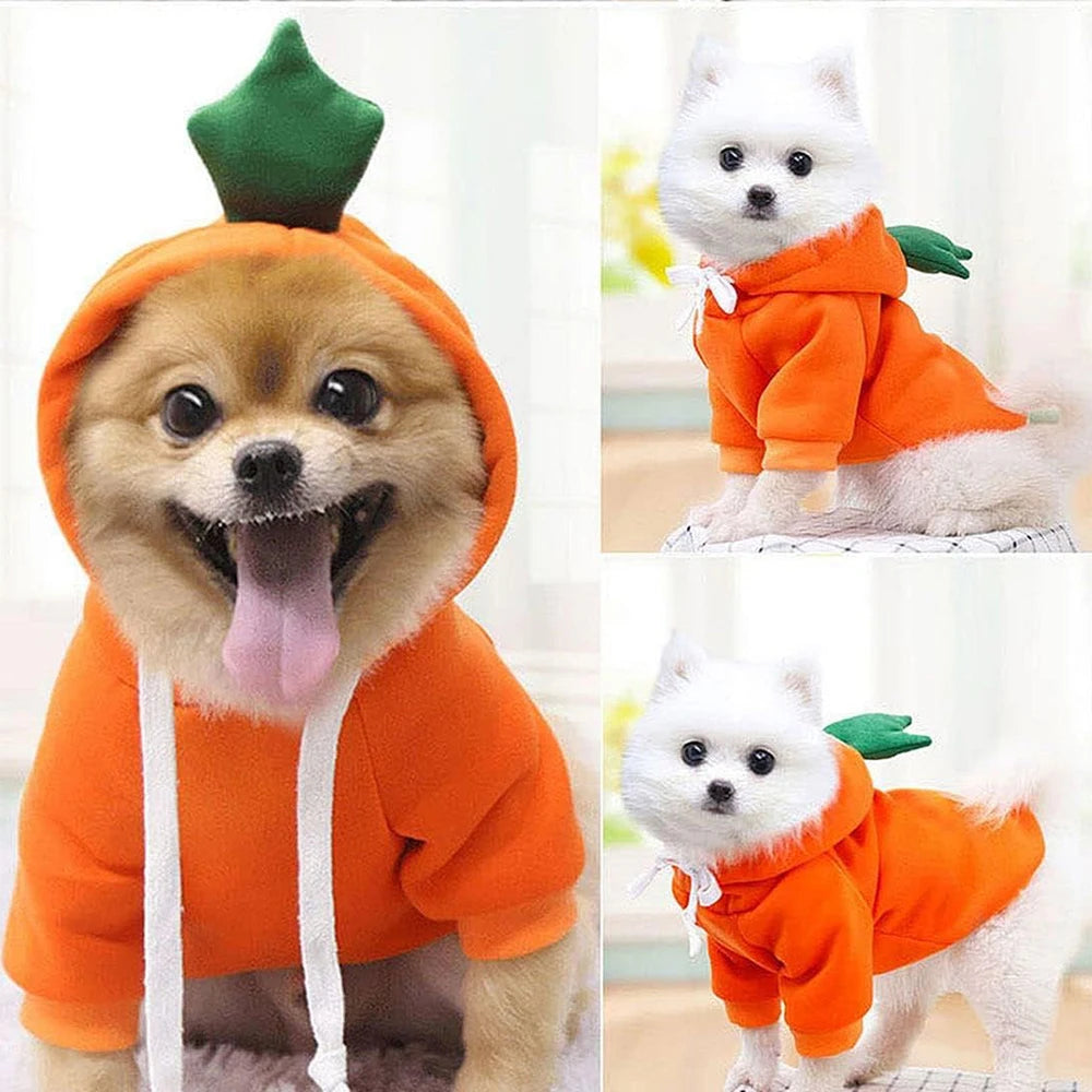 Cute Dog Hoodie Pet Fruit Cloth
