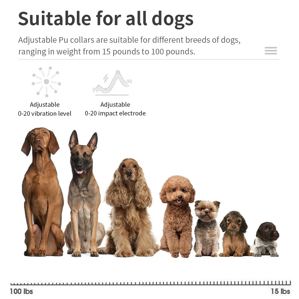 USB Rechargeable Auto Anti-Bark Collar