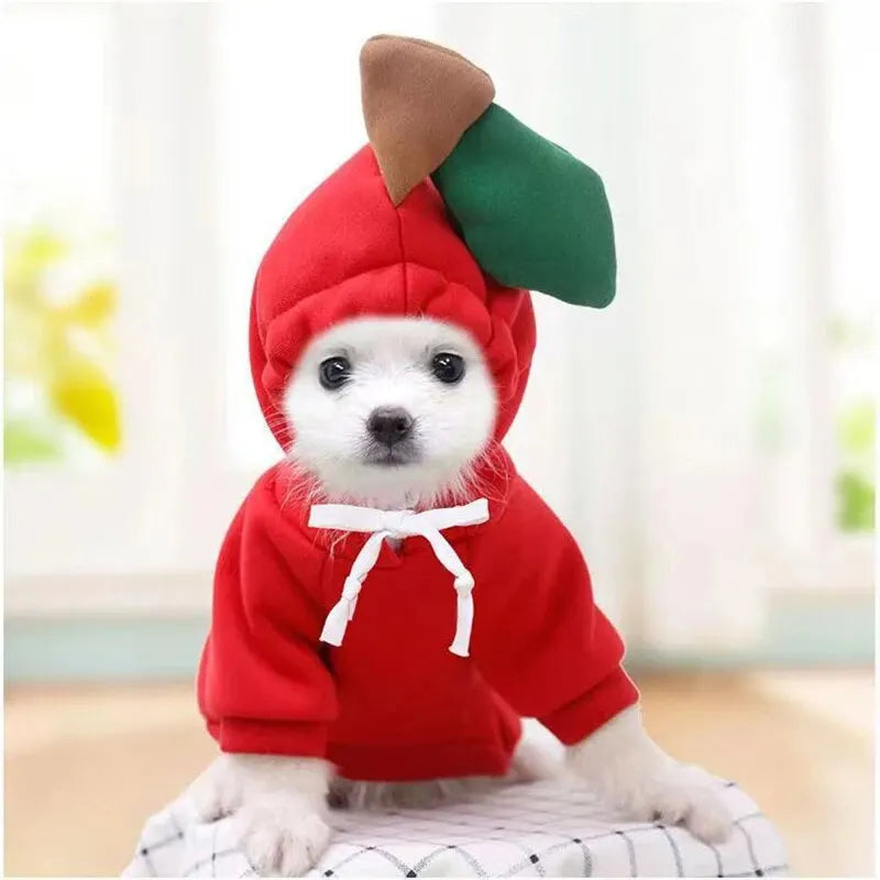 Cute Dog Hoodie Pet Fruit Cloth